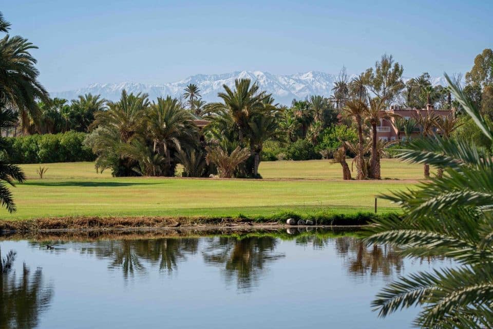 forfait-golf-et-sejour-au-maroc-pickalbatros-hotel-du-golf-palmeraie-3