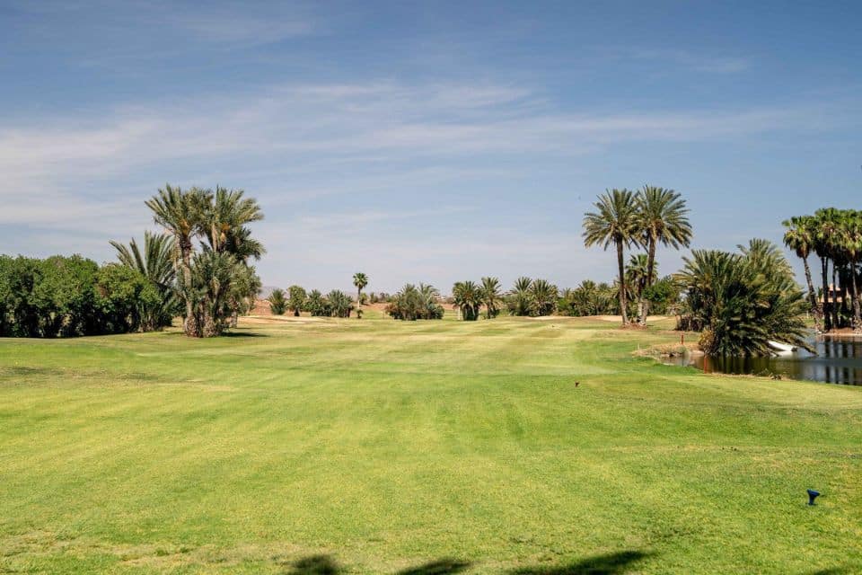 forfait-golf-et-sejour-au-maroc-pickalbatros-hotel-du-golf-palmeraie-4