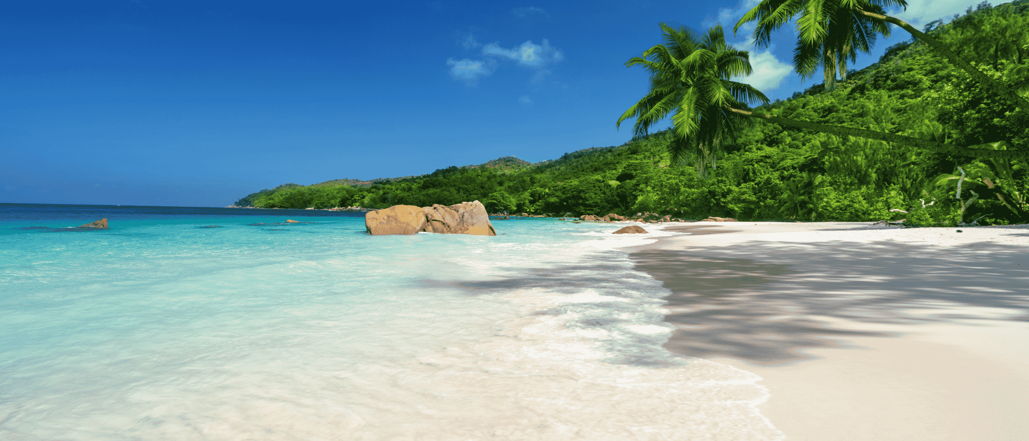 header-219-7