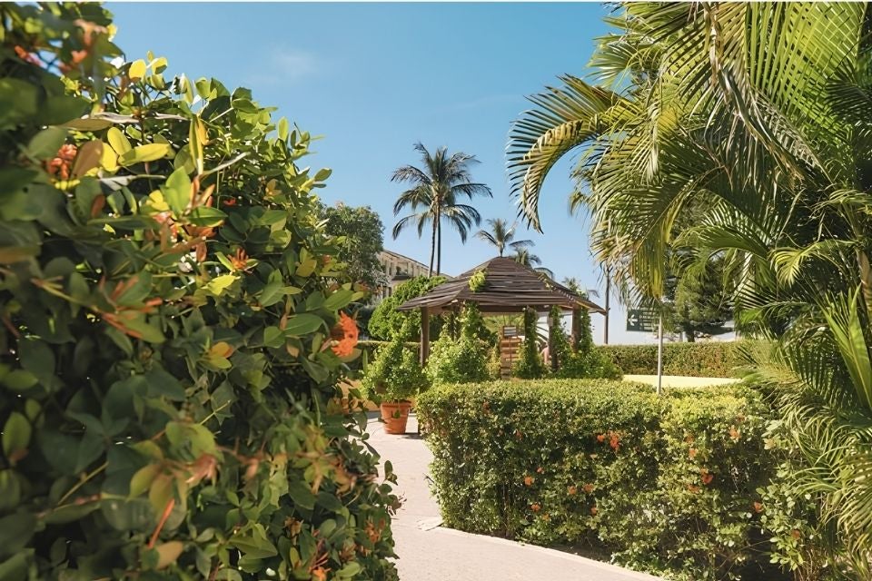 samba-vallarta-7