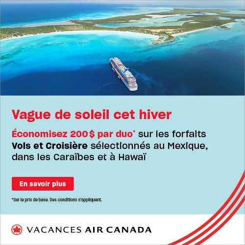 mce-44364-cruise-winter-ebb-2-sales-partner-banners-laurier-du-vallon-500x500-fr